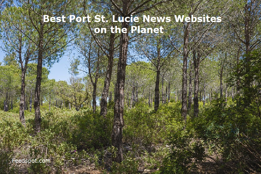Top 10 Port St. Lucie News Websites (City Follow in 2025 (City in Florida)